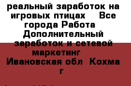 Rich Birds-реальный заработок на игровых птицах. - Все города Работа » Дополнительный заработок и сетевой маркетинг   . Ивановская обл.,Кохма г.